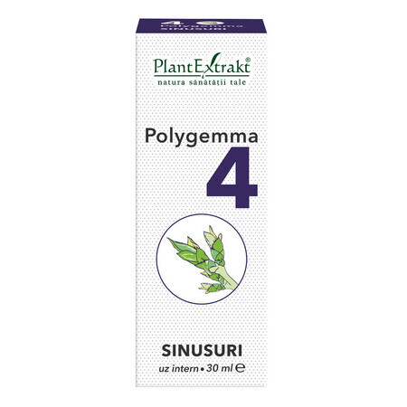 Polygemma 4, Sinus, 30 ml, Plant Extrakt