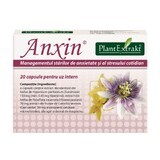 Anxin, 20 gélules, Plant Extrakt