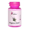 Progesterone Natural Sublima, 60 tablets, Dacia Plant