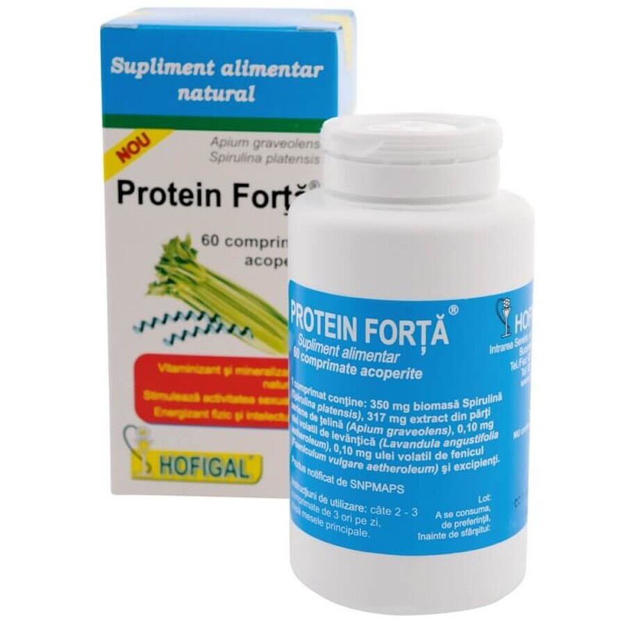 Protein Strength , 60 Tabletten, Hofigal