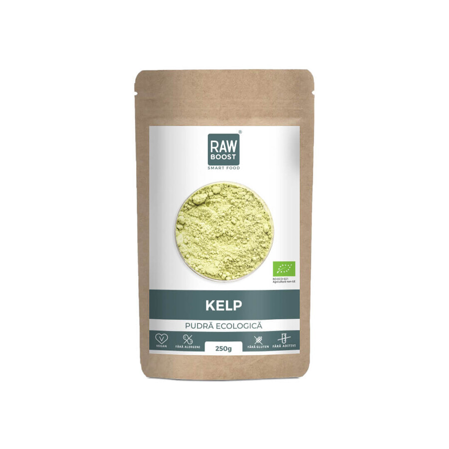 Premium Kelp Raw Powder, 250 g, RawBoost