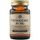 Pycnogenol 30 mg, 30 gélules, Solgar