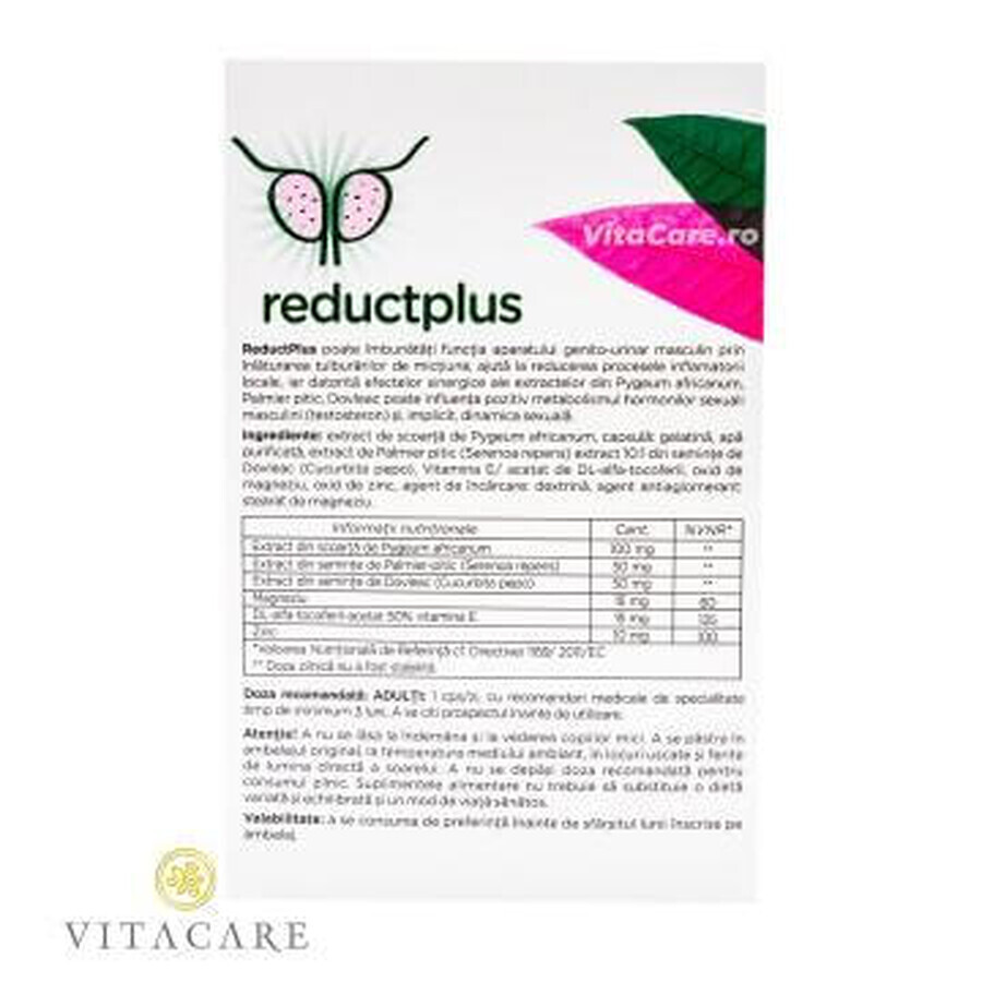 ReductPlus, 90 gélules, Vitacare