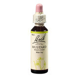 Flower Remedy Wild Mustard Drops Original Bach Mustard, 20 ml, Rescue Remedy