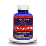 Renal Forte, 120 Kapseln, Herbagetica