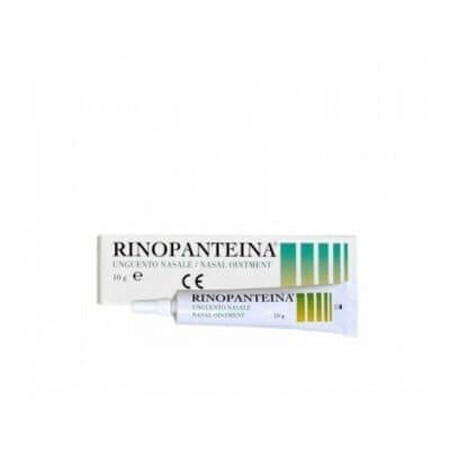 Rinopantein pommade nasale, 10 g, DMG