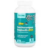 Saccharomyces Boulardii Mos Jarrow Formulas, 90 Kapseln, Secom