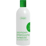 Shampooing pour cheveux gras à la menthe, à l'octopirox et à l'ortie, 400 ml, Ziaja