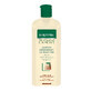 Regenerierendes Shampoo mit Keratin Gerovital Expert Treatment, 400 ml, Farmec