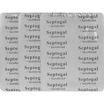 Septogal+lactofein, 27 Tabletten, Aesculap
