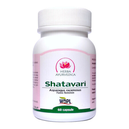 Shatavari, 60 gélules, Herbe Ayurvédique