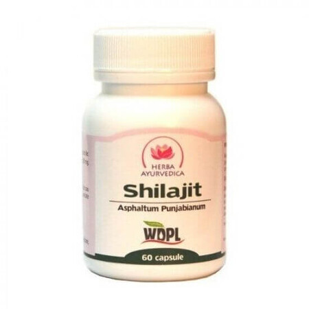 Shilajit, 60 Kapseln, Ayurvedisches Kraut