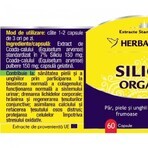 Silicio organico, 60 capsule, Herbagetica