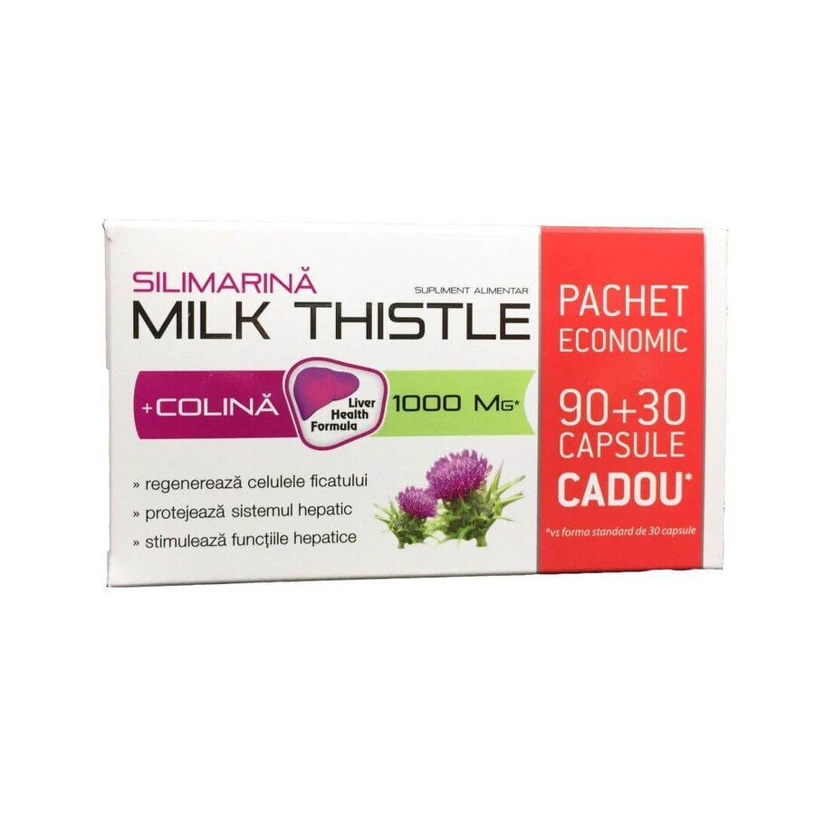 Silimarina + Colina Milk Thistle 1000 mg, 90 + 30 capsule, Zdrovit recensioni