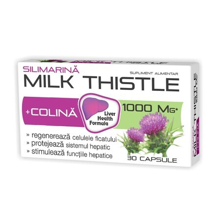 Silimarină + Colina Milk Thistle 1000mg, 30 capsule, Zdrovit