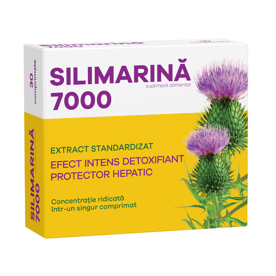 Silymarin 7000, 30 Tabletten, Fiterman