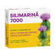 Silymarin 7000, 30 comprim&#233;s, Fiterman