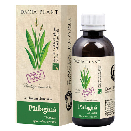 Sirop de patlagine, 200 ml, Dacia Plant