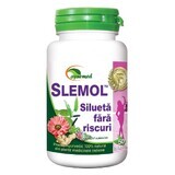 Slemol, 50 tablets, Ayurmed