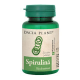 Spirulina, 60 Tabletten, Dacia Plant