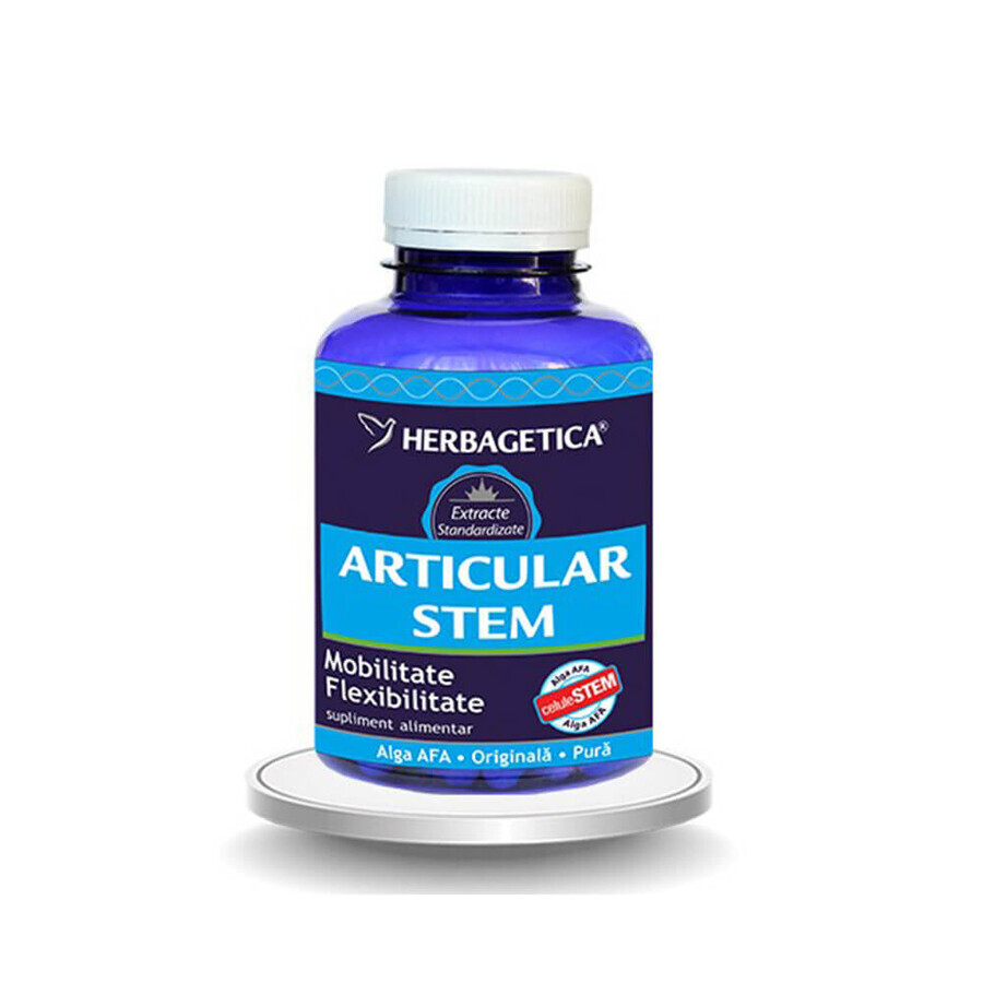 Articular+ Stem, 120 capsule, Herbagetica