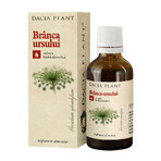 Tincture of Bearberry, 50 ml, Dacia Plant