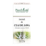 Teinture de thé Jawa, 120 ml, Plant Extrakt