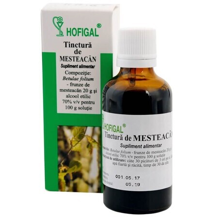 Tinctură de Mesteacăn, 50 ml, Hofigal