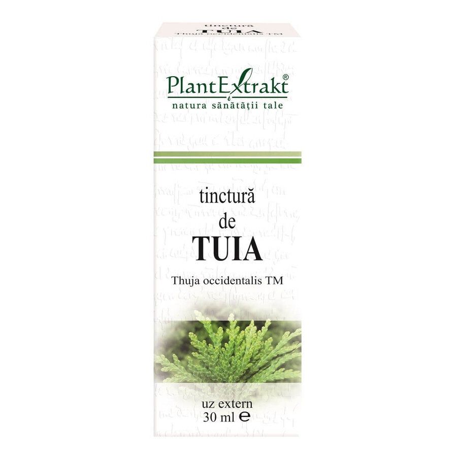 Teinture de Tuia, 30 ml, Plant Extrakt