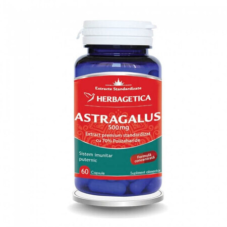 Astragalus 500 mg, 60 Kapseln, Herbagetica