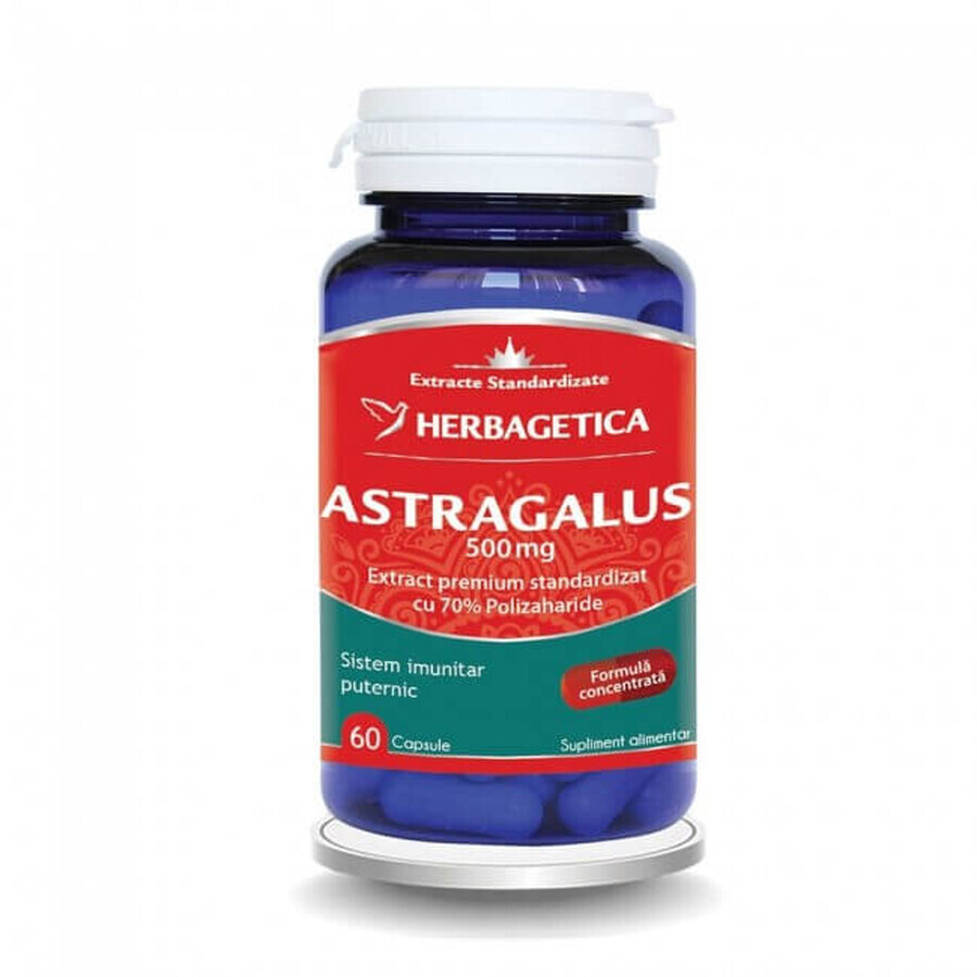 Astragalus 500 mg, 60 Kapseln, Herbagetica