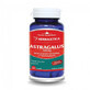 Astragale 500 mg, 60 g&#233;lules, Herbagetica