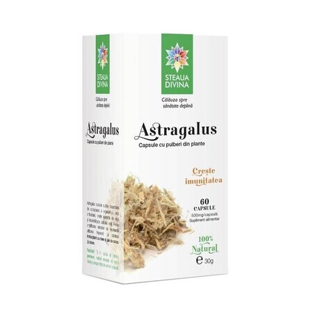 Astragalus, 60 Kapseln, Divine Star