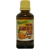 Kaltgepresstes Aprikosenkernöl, 50 ml, Herbavit