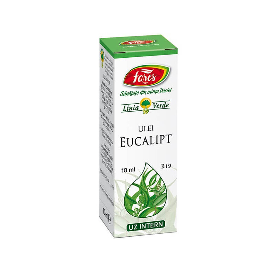 Huile essentielle d'eucalyptus, R19, 10 ml, Fares