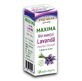 &#196;therisches Lavendel&#246;l Maxima, 10 ml, Justin Pharma