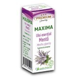 Huile essentielle de Menthe Maxima, 10 ml, Justin Pharma