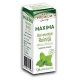 Huile essentielle de romarin, 10 ml, Justin Pharma