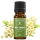 Huile essentielle de Litsea Cubeba (M - 1154), 10 ml, Mayam