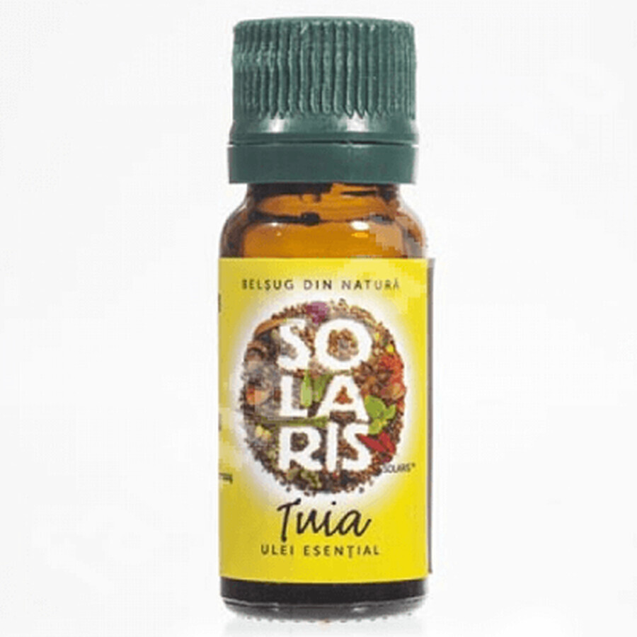 Ätherisches Öl von Thuja, 10 ml, Solaris