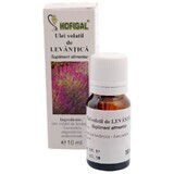 Olio volatile di lavanda, 10 ml, Hofigal