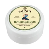 Rheumatic Ointment Earth Butter and Tataneasa, 100ml, Faunus Plant