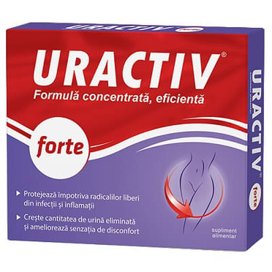 Uractiv forte, 20 gélules, Fiterman Pharma