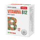 Vitamine B12, 30 g&#233;lules, Parapharm