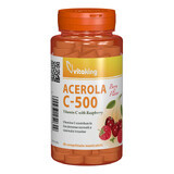 Vitamine C 500 mg avec acérola et arôme framboise, 40 comprimés à croquer, Vitaking