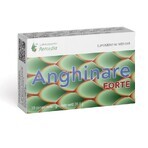 Artichoke Forte, 500 mg, 30 capsules, Remedia