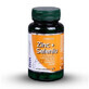 Zinc, S&#233;l&#233;nium avec Vitamine C naturelle, 60 g&#233;lules, DVR Pharm