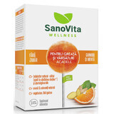 Sucettes sans sucre contre les nausées et les vomissements, 5 pièces, Sanovita Wellness