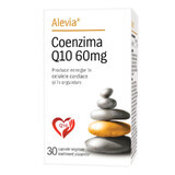 Coenzyme Q10, 60 mg, 30 gélules végétales, Alevia