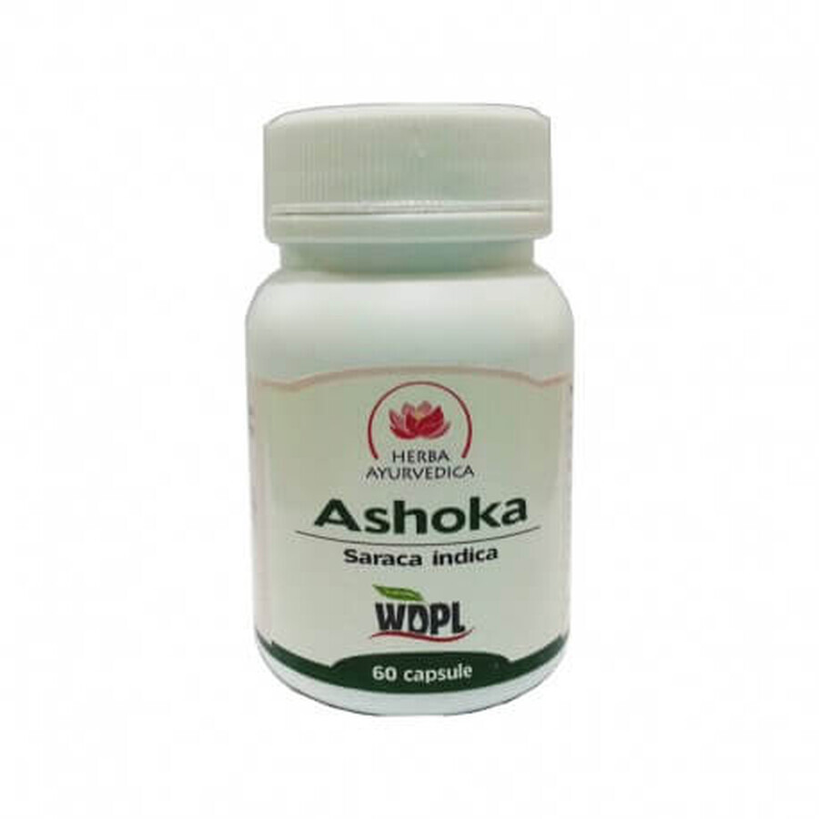 Ashoka, 60 gélules, Herbe Ayurvédique